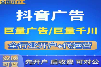 解析某某SEM服务公司的广告投放策略与效果评估